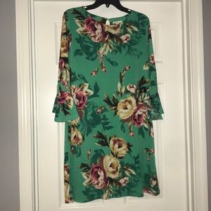 Ruffle Sleeve dress NWOT
